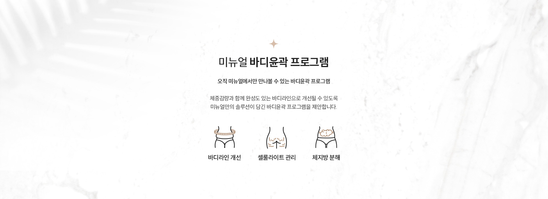 바디윤곽프로그램 정의