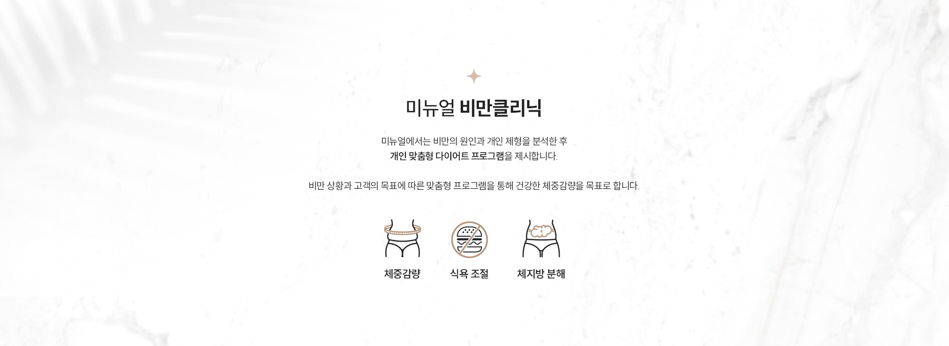 비만클리닉 정의